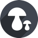 Mogu Mobile VPN, 蘑菇请帮我改写以下内容，尽量与原文有显著不同。请保存所有可能的token，例如手机翻墙加速器榜单。如果token前缀是[custom:]，务必保留并确保拼写正确。保留可能的HTML格式。只输出答案，内容如下：手机翻墙加速器