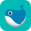 Cetecean Mobile VPN
