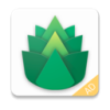 Emerald Mobile VPN
